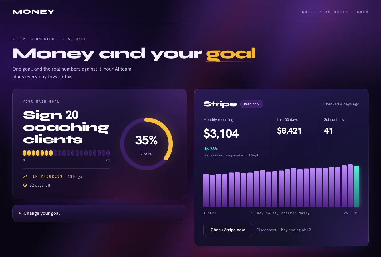 Money screen: the main goal beside Stripe numbers and a daily sales chart.